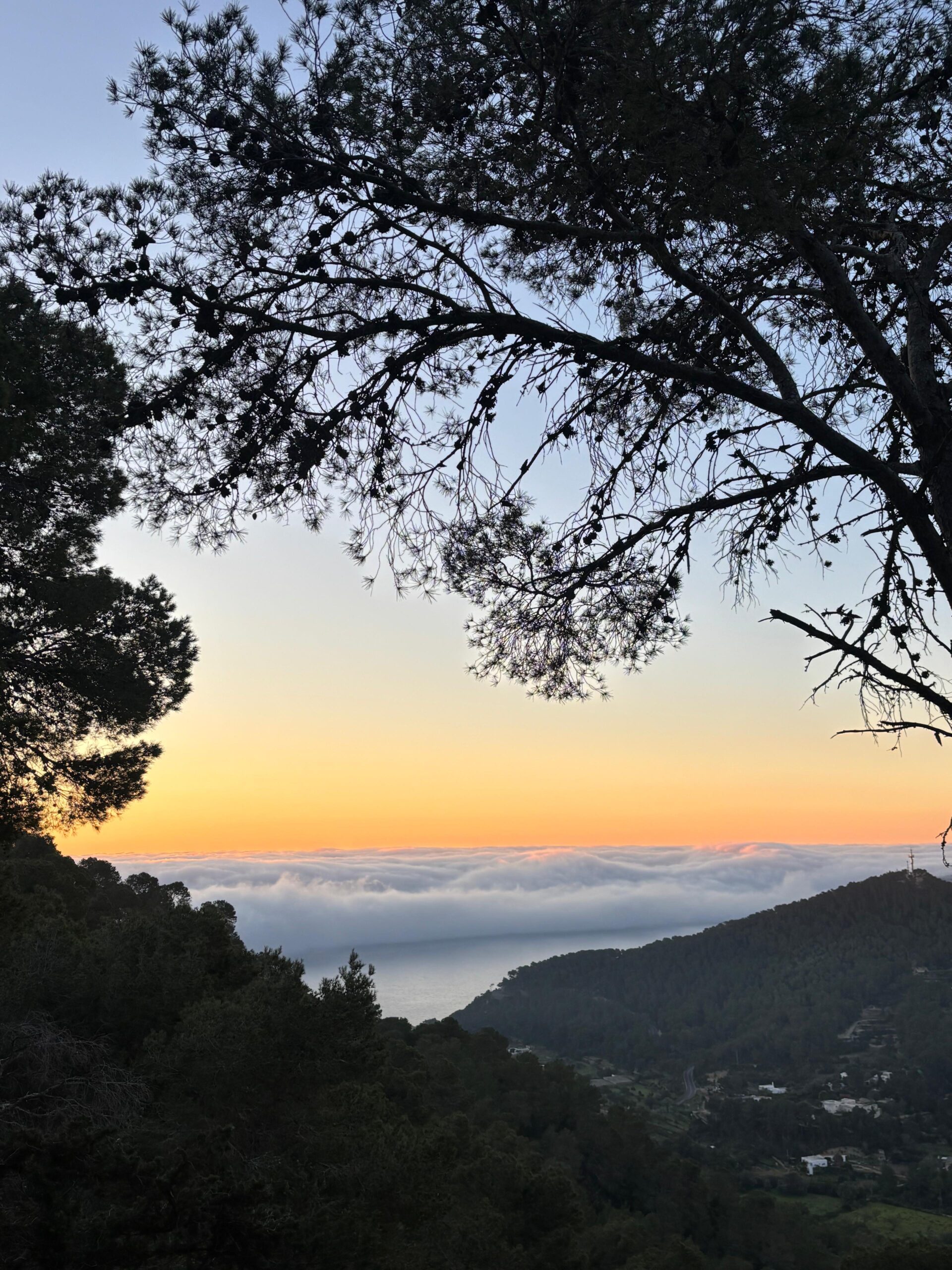 sunset meditations