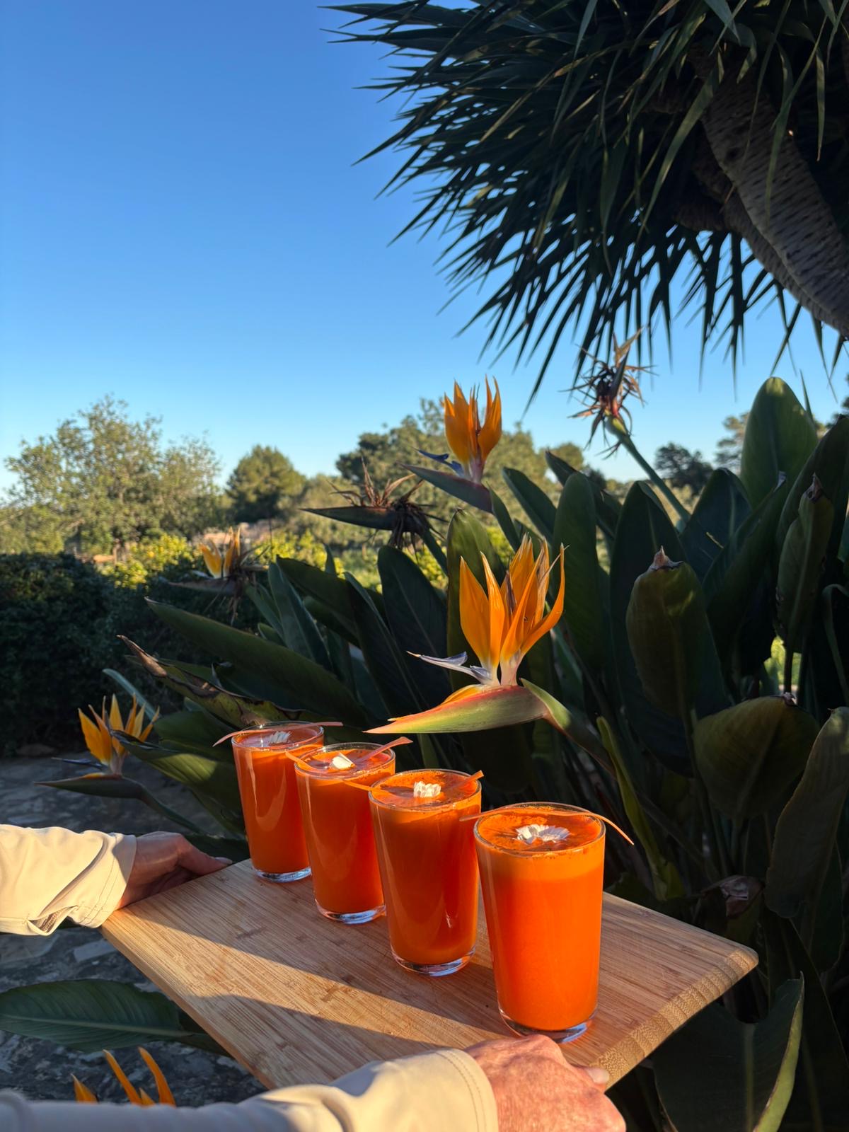 North Ibiza villa